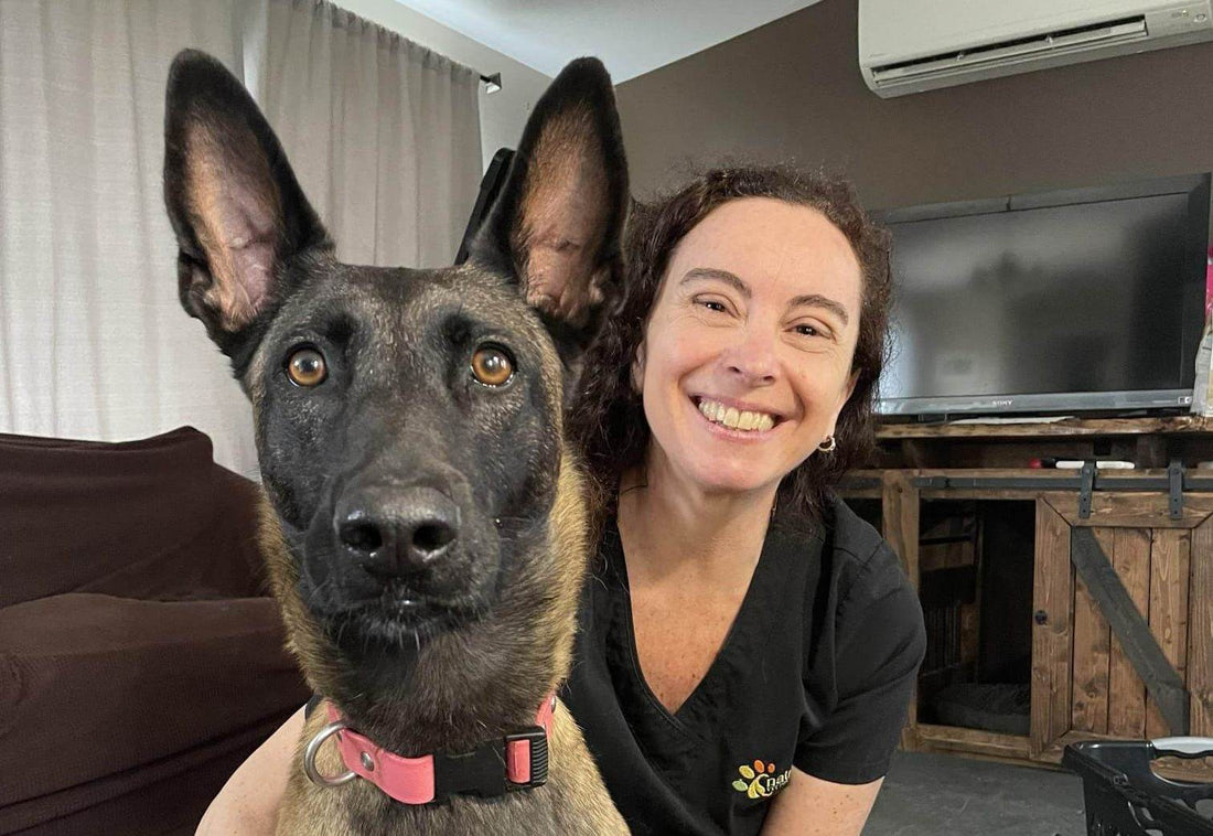 Dog massage therapy, canine massage, veterinary massage, animal massage