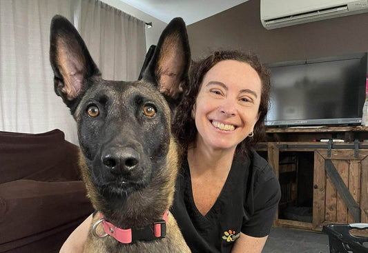 Dog massage therapy, canine massage, veterinary massage, animal massage